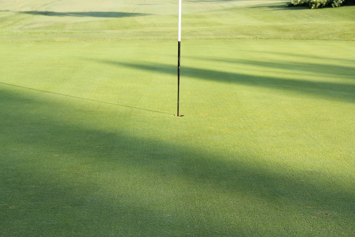 Perfect Greens 
